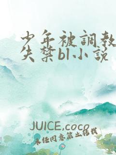 少年被调教爽到失禁bl小说