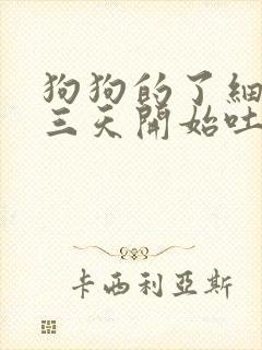 狗狗的了细小的三天开始吐白色的粘稠