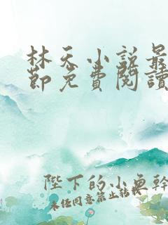 林天小说最新章节免费阅读全文