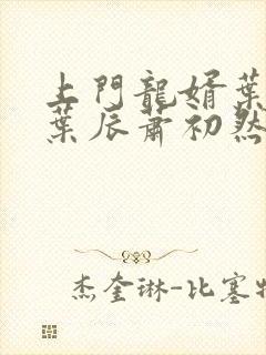 上门龙婿叶辰(叶辰萧初然)