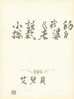 小说《我的美女总裁老婆》