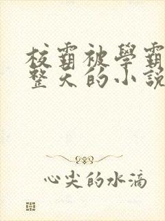 校霸被学霸罚一整天的小说双男主