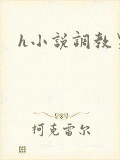 h小说调教男