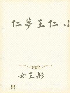 仁梦王仁 小说