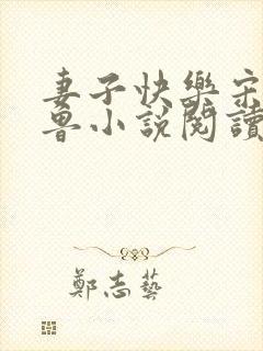 妻子快乐宋明小鲁小说阅读