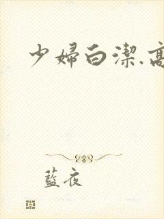 少妇白洁.高义