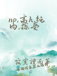 np,高h,纯肉,总受