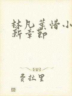 林凡叶惜小说最新章节