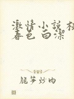 激情小说 校园春色 白洁