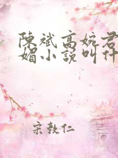 陈斌高婉君赵心媚小说叫什么