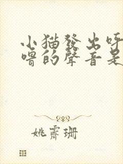 小猫发出呼噜呼噜的声音是什么