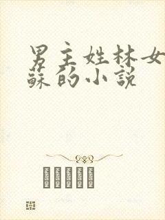 男主姓林女主姓苏的小说