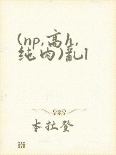 (np,高h,纯肉)乱l