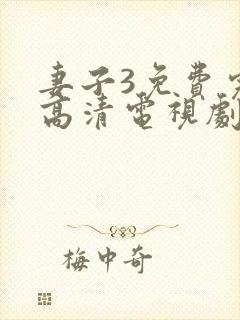 妻子3免费完整高清电视剧