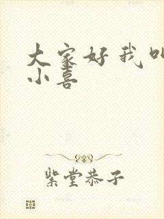 大家好 我叫林小喜