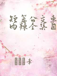 短篇公交车高h肉辣全集目录