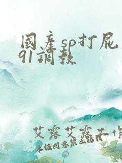 国产sp打屁股91调教