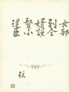 从赘婿到女帝宠臣小说全部章节