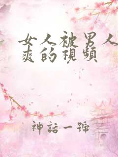 女人被男人插到爽的视频