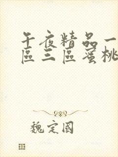 午夜精品一区二区三区蜜桃视频