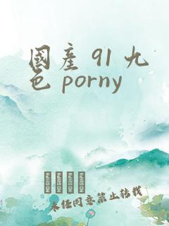 国产 91 九色 porny