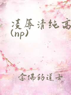 凌辱清纯高中生(np)
