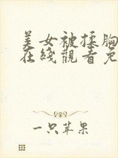 美女被揉胸视频在线观看免费网站