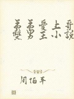 弟弟爱上哥哥的双男主小说