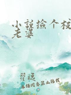 小说捡个校花做老婆