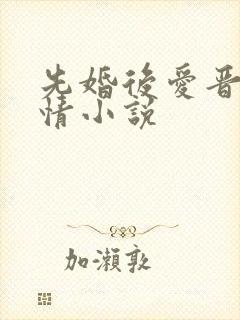 先婚后爱晋江言情小说