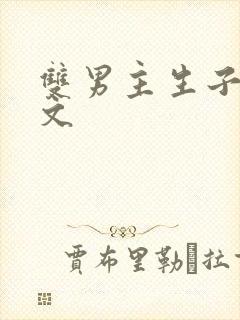 双男主生子高干文