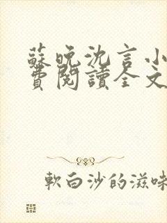 苏晚沈言小说免费阅读全文无弹窗