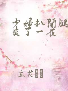 少妇扒开腿让我爽了一夜