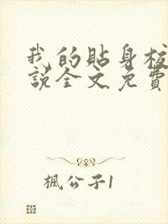 我的贴身校花小说全文免费阅读