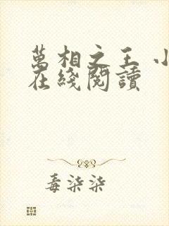 万相之王 小说在线阅读