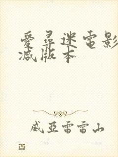 爱寻迷电影无删减版本