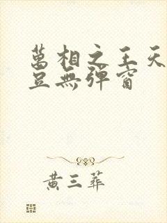 万相之王天蚕土豆无弹窗