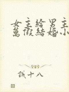 女主给男主20万假结婚小说