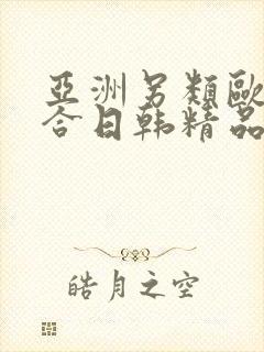 亚洲另类欧美综合日韩精品