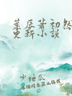 叶辰萧初然最快更新小说
