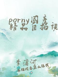 porny国产精品自拍视频