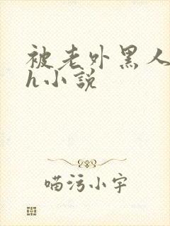 被老外黑人宫交h小说