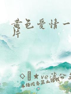 黄色爱情一级大片