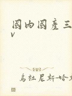 国内国产三级av