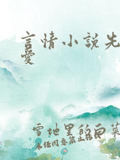 言情小说先婚厚爱