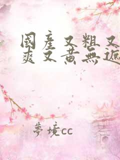 国产又粗又猛又爽又黄无遮挡