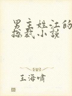 男主姓江的现代总裁小说