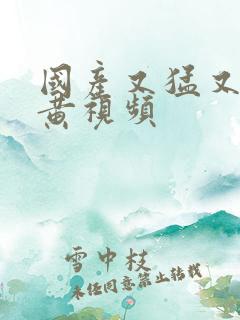 国产又猛又粗又黄视频