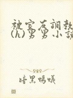 被室友调教成奴(h)男男小说