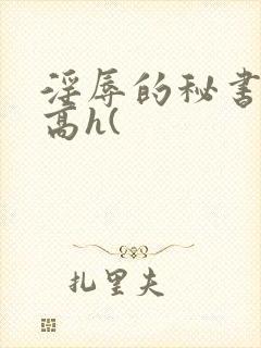 淫辱的秘书调教高h(